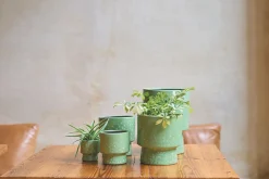 Potten En Vazen|ohgreen GR.ORCH.POT D17 MOON GRASGRO