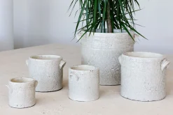 Potten En Vazen|ohgreen Grote orchidee pot dune