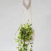 Potten En Vazen|ohgreen Hanger Django