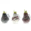 Voorjaar|Ecocheques|ohgreen Hippeastrum Waxz Art v Gogh