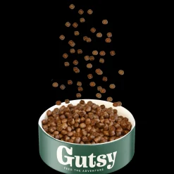 Hond Voeding|ohgreen Hondenbrokken kip en insect 10kg adult small