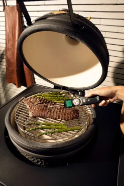 Accessoires En Onderhoud|ohgreen Instant thermometer
