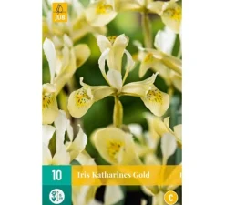 Voorjaar|Ecocheques|ohgreen Iris reticulata Katherine's Gold