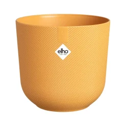 Ecocheques|Potten En Vazen|ohgreen Jazz rond