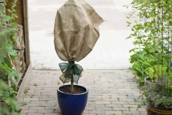 Tuinafsluiting En Hout|ohgreen Juteband h10cmx25m groen 220g/m²