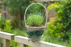 Tuinafsluiting En Hout|ohgreen Juteband h10cmx25m groen 220g/m²