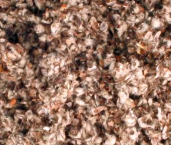 Bodembedekkers|ohgreen Katoenbedding reukvrij 1,5kg