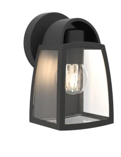 Verlichting|ohgreen Kelsey wandlamp - helder glas mat zwart e27 40w