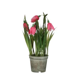 Sfeermakers|ohgreen Kievitsbloem in roze plastic pot - h23xd8,5cm