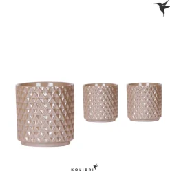 Vaste Planten|Ecocheques|ohgreen Kolibri home Diam pearl potje