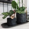 Vaste Planten|Ecocheques|ohgreen Kolibri home moon potje