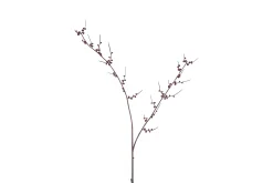 Sfeermakers|Herfst|ohgreen Kunstknop prunus
