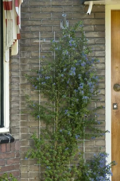 Bind En Steun|Ecocheques|ohgreen Metalen klimrek grijs