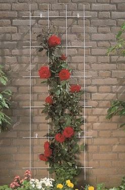Bind En Steun|Ecocheques|ohgreen Metalen klimrek groen