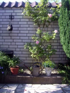 Bind En Steun|Ecocheques|ohgreen Metalen klimrek V-vorm groen