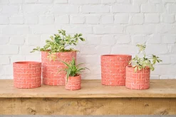 Potten En Vazen|ohgreen MINIPOT D8 METRIC KORAAL