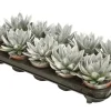 Composities En Terrariums|Ecocheques|ohgreen Miranda coloured silver