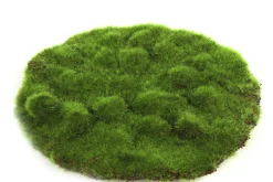 Sfeermakers|ohgreen Mosschijf marchantiophyta m
