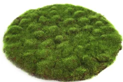Sfeermakers|ohgreen Mosschijf marchantiophyta l