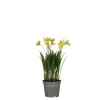 Sfeermakers|ohgreen Narcis in gele plastic pot - h26xd8,5cm