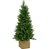 Kerstbomen Kunststof|Kerstbomen|ohgreen Norfolk pe table tree w/pot 137cm 200l transfo