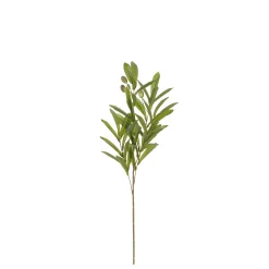 Sfeermakers|ohgreen Olijf branche groen - l55cm