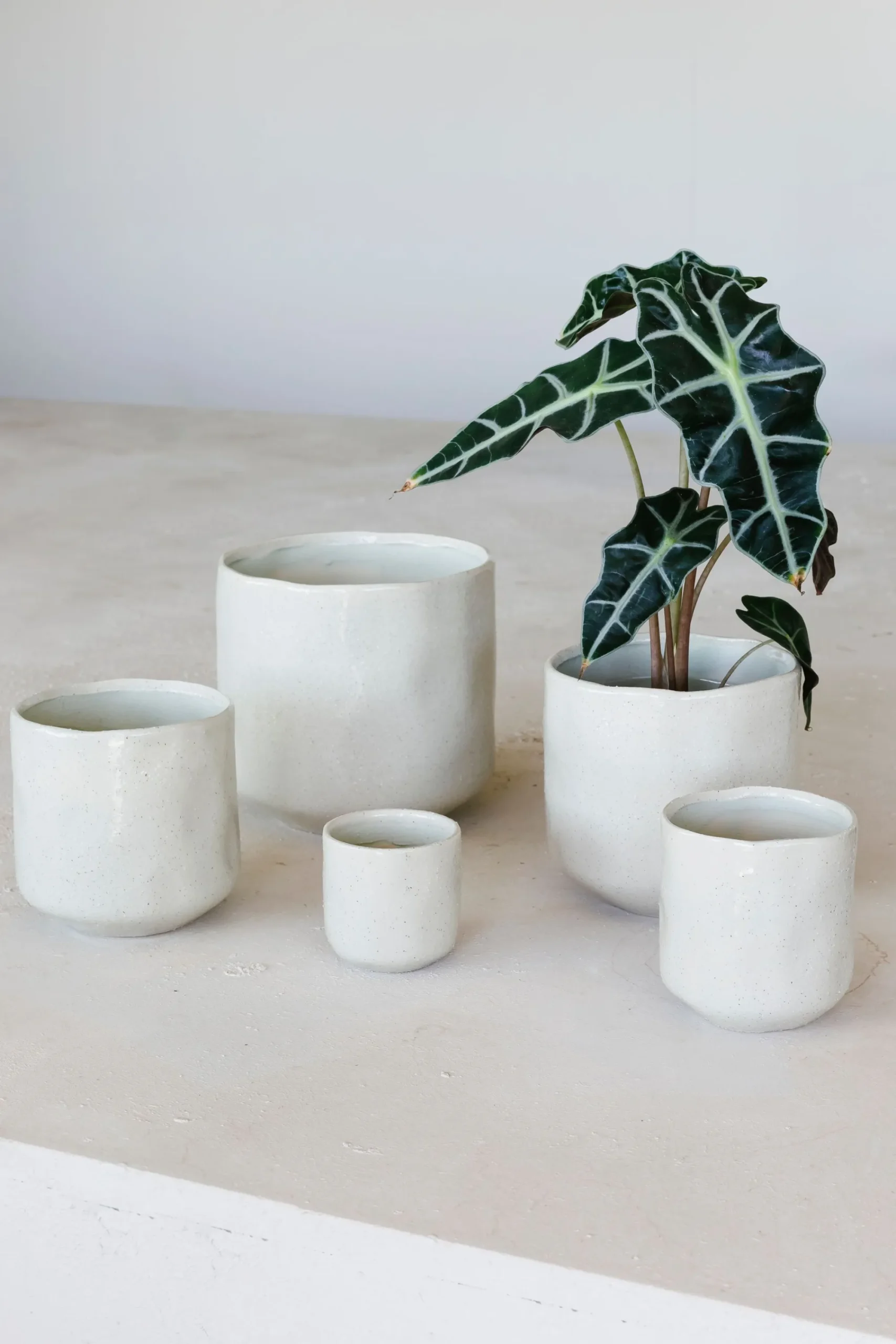 Potten En Vazen|ohgreen Orchidee pot glisten