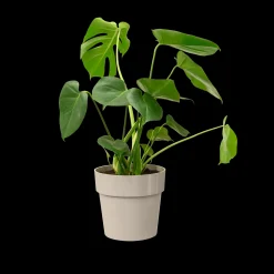 Ecocheques|Potten En Vazen|ohgreen ORIGINAL ROND 25CM WARM GRIJS