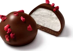 Voeding|ohgreen Petit melo fondant framboos