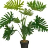 Sfeermakers|ohgreen Philodendron in pot