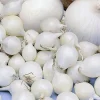 Plantgroente|Ecocheques|ohgreen Plantajuin snowball 8/21 250g