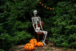 Halloween|Sfeermakers|ohgreen Pompoen