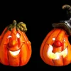 Sfeermakers|Halloween|ohgreen Pompoen m led licht