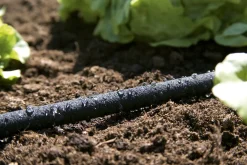 Bewatering|Ecocheques|ohgreen Poreuze druppelslang