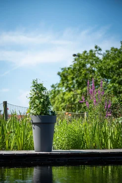 Kunststof|Ecocheques|ohgreen Pot