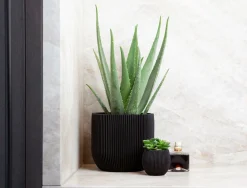 Potten En Vazen|ohgreen Pot bol groove 14x13