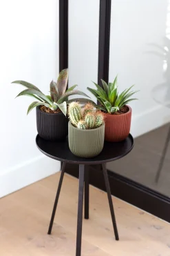 Potten En Vazen|ohgreen Pot bol groove 14x13