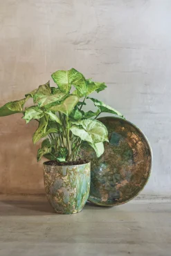 Potten En Vazen|ohgreen POT D44 ARRAY GRASGR
