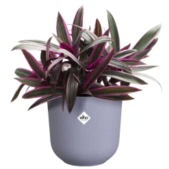 Potten En Vazen|Ecocheques|ohgreen Pot jazz rond 14cm lavendel lila