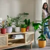 Potten En Vazen|Ecocheques|ohgreen Pot jazz rond 14cm toscaans rood