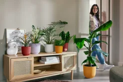 Potten En Vazen|Ecocheques|ohgreen Pot jazz rond 14cm zijdewit