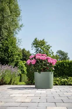 Kunststof|Ecocheques|ohgreen Pot Respect met reservoir 25x25h21 groen-grijs