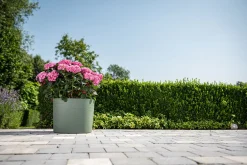 Kunststof|Ecocheques|ohgreen Pot Respect met reservoir 40x40h30 groen-grijs