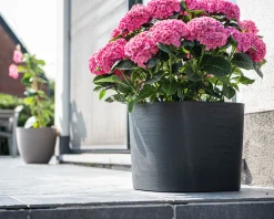 Kunststof|Ecocheques|ohgreen Pot Respect met reservoir 40x40h30 zwart-antraciet