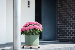 Kunststof|Ecocheques|ohgreen Pot Respect met reservoir 20x20h17 groen-grijs