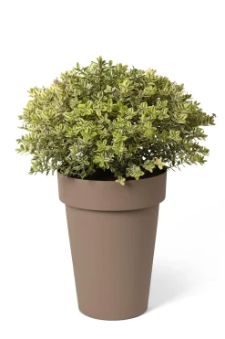 Kunststof|Ecocheques|ohgreen Pot rond happy hoog 40h 50 taupe