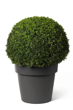 Kunststof|Ecocheques|ohgreen Pot rond happy met wielen 50h 41 antraciet