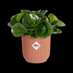 Potten En Vazen|Ecocheques|ohgreen Pot vibes fold 7cm delicate roze