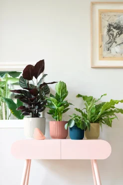 Ecocheques|Potten En Vazen|ohgreen Pot vibes fold 14cm delicate roze