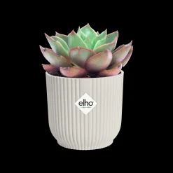 Potten En Vazen|Ecocheques|ohgreen Pot vibes fold 7cm zijdewit
